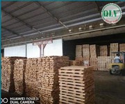1 Cho thuê nhà xưởng 14.000 m2 tại huyện Đồng Phú, Bình Phước giá 2.5 USD/m2
