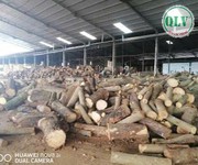 2 Cho thuê nhà xưởng 14.000 m2 tại huyện Đồng Phú, Bình Phước giá 2.5 USD/m2