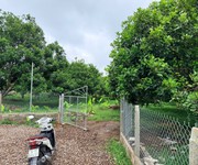 Chính Chủ Cần Xoay Vốn Nên Bán Gấp Lô Đất 1000m2 Vườn Cây Ăn Trái Lâu Năm Tại Thống Nhất