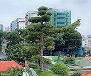 1 Bán biệt thư cổ đẳng cấp đ. tú xương, quận 3 - hiếm - 9m  12m - xung quanh toàn quan chức hội tụ