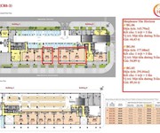 2 Giỏ hàng shophouse the horizon đẹp nhất phú mỹ hưng, shop sẵn kinh doanh ngay, 8x15, mặt tiền đường
