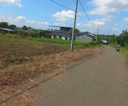 1 Lô 2mt 80tc giá 700tr , lô 1mt nhựa giá 620tr