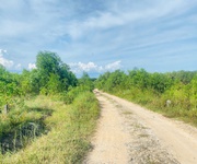 4 Bán 2.36 hecta đất tân phước - lagi gái ngộp 211 triệu/ sào, sổ riêng đón đầu mặt tiền