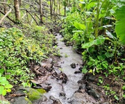 3 Nhà em có mảnh vườn đồi Giá Tỵ câng bán, View Hồ Trị An, Giáp suối tại Định Quán, Đồng Nai