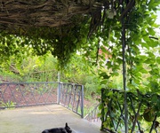 9 Nhà em có mảnh vườn đồi Giá Tỵ câng bán, View Hồ Trị An, Giáp suối tại Định Quán, Đồng Nai