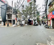 Nguyễn du   tâm phố vàng, nhà vượng khí