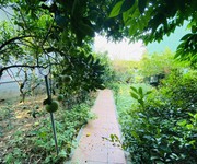 Mặt phố nguyễn du, tài lộc hội tụ, nhà đẹp như tranh