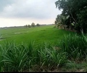 Hot  hot   hot chính chủ bán đất  - giá hợp lý