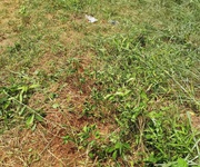 Cần bán đất củ chi tphcm 18.000m2 giá 79ty