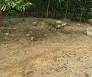 Bán lô đất giá chỉ 180tr dt:532,6m2   ngang 9m