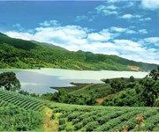 3 Cần bán gấp 2 lô đất ngộp bank tại khu sun valley farm bảo lộc