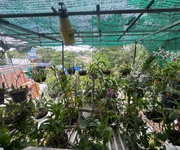 3 Mặt tiền kinh doanh trung tâm dĩ an   dãy trọ 2 tầng ngang 10m   thu 70tr/tháng   416m  full thổ cư