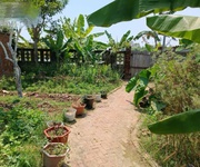 Cần bán nhà vườn view sông cái  hòa phước - hòa vang- đà nẵng   diện tích lớn, vị trí đẹp