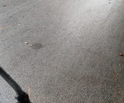 1 Bán lô đất 2 mặt tiền đường vũ hữu lợi , phường nam vân, tp nam định 1 Bán lô đất 2 mặt tiền đường vũ hữu lợi , phường nam vân, tp nam định