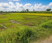 Giảm 100tr  đất shr hxh 246m2, nở hậu   trần thị năm q12 ss