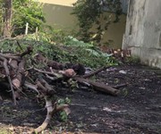 2 Đất vuông shr full tc hxh 219m2   đặng thúc vịnh hóc môn ss