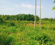 2 Chủ kẹt tiền cần bán lô đất tại mt đường dx 017 có 1000 m  đất ở., cẩm thanh giá 20 tỷ 2 Chủ kẹt tiền cần bán lô đất tại mt đường dx 017 có 1000 m  đất ở., cẩm thanh giá 20 tỷ