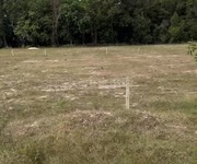 4 Chính Chủ Cần Bán Gấp Đất Mặt Tiền Đường ĐT795, Tân Thành, Tân Châu   Sổ Sẵn, Sang Tên Ngay