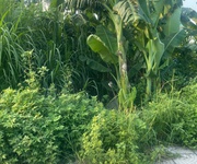 Chính chủ bán đất 2 mặt tiền   máng nước, an đồng, an dương, hải phòng Chính chủ bán đất 2 mặt tiền   máng nước, an đồng, an dương, hải phòng