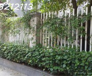 4 Bán biệt thự sân vườn mặt tiền 10,5m x 23m, dt 215m2  sử dụng 239m2  3 tầng, sổ đỏ cc