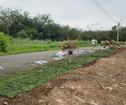 Cơ Hội Sở Hữu Đất Tại Vị Trí Vàng KHu Vực An Long - HCM - Giả RẺ