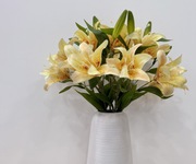 3 Bán nhà hoàng hoa thám, 5x8m, 1 trệt, 1 lầu, 3pn, 3wc, 5.89 tỷ, tl 3 Bán nhà hoàng hoa thám, 5x8m, 1 trệt, 1 lầu, 3pn, 3wc, 5.89 tỷ, tl