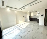 Bán căn góc 2pn chính chủ   sunshine sky city, phường tân mỹ, q7, tp.hcm