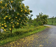 4  Siêu hot   Chỉ còn 1 lô duy nhất, mặt tiền đường Lý Thái Tổ  28m  nối dài  4  Siêu hot   Chỉ còn 1 lô duy nhất, mặt tiền đường Lý Thái Tổ  28m  nối dài