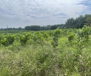 Bán đất skc 8000m2 xã hố nai 3, trảng bom, đồng nai 16t