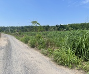 1 Bán đất skc 8000m2 xã hố nai 3, trảng bom, đồng nai 16t