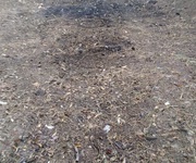 1 Đất chính chủ - giá tốt - vị trí đẹp tại thôn 2, ninh sơn, thị xã ninh hòa, tỉnh khánh hòa