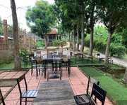 3 Siêu villa biệt thự nhà 6.000m  vườn hóc môn   đường xe tải   giá rẻ chỉ 9tr/m