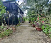 Cần bán gấp đất nền 285m2 phú tân, gần chợ tú điền   tp bến tre, giá cực rẻ