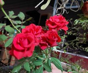 4 Chủ nhờ bán nhà xuân nộn 70m2, 3t, mt4.5m, 6.3 tỷ, đông anh, kd, ô tô tránh. 4 Chủ nhờ bán nhà xuân nộn 70m2, 3t, mt4.5m, 6.3 tỷ, đông anh, kd, ô tô tránh.