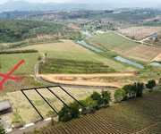 Đất nền nghỉ dưỡng gần Đồi Chè Tâm Châu   Bảo Lộc   giá tốt nhất khu vực chỉ 6  triệu/m