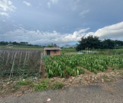 2 Cần bán 12 lô đất. xã phú hội, xã ninh gia, xã tà hine. xã lạc dương. lâm đồng. 2 Cần bán 12 lô đất. xã phú hội, xã ninh gia, xã tà hine. xã lạc dương. lâm đồng.