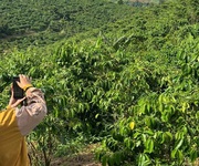 1 Cần bán 12 lô đất. xã phú hội, xã ninh gia, xã tà hine. xã lạc dương. lâm đồng. 1 Cần bán 12 lô đất. xã phú hội, xã ninh gia, xã tà hine. xã lạc dương. lâm đồng.