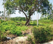 3 Chủ kẹt tiền cần bán lô đất tại mt đường dx 017 có 1000 m  đất ở., cẩm thanh giá 20 tỷ 3 Chủ kẹt tiền cần bán lô đất tại mt đường dx 017 có 1000 m  đất ở., cẩm thanh giá 20 tỷ