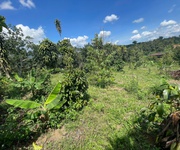 Bán đất nền sân vườn view nghỉ dưỡng, Quốc Lộ 55, 310m2, chỉ với 799 triệu, Bảo Lâm, Lâm Đồng