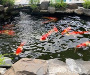 1 Bán siêu phẩm biệt thự 9 tầng phú mỹ hưng - tân mỹ quận 7 1 Bán siêu phẩm biệt thự 9 tầng phú mỹ hưng - tân mỹ quận 7