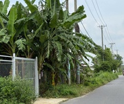 3 Chính chủ bán đất dt 400m2 mt trần quang đạo,tân thông hội, củ chi 3 Chính chủ bán đất dt 400m2 mt trần quang đạo,tân thông hội, củ chi