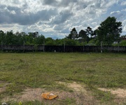 4 HUẾ Lụt Ai Cũng Khổ , TRỪ Dân Dạ Lê 4 HUẾ Lụt Ai Cũng Khổ , TRỪ Dân Dạ Lê