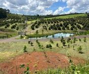 5 View đồi siêu đẹp   341.4 m  đất biệt thự trung tâm Bảo Lộc, giá đầu tư chỉ 15 triệu/m