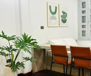 3 Siêu hiếm - bán nhà phân lô liễu giai, ba đình - 56m x 5t - ô tô - kinh doanh - dòng tiền 60tr/th -