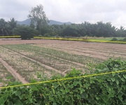 Chủ, cần nh.ượng lại mảnh vườn, ở xã long mỹ  nay là xã phước hải, tp. hồ chí minh .  - tổng diện