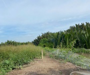 Chính chủ cần bán 1000m  đất đẹp   cách đường rừng sác chỉ 400m   bình khánh, cần giờ