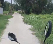 Bán lô đất trồng cây lâu năm  lên được thổ cư  Nhị Bình Hóc Môn