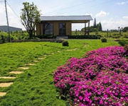 Bán lô đất view chuẩn làng chùa đại ninh, đức trọng, lâm đồng