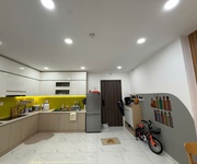 Cho thuê căn hộ 55m2 LAVIDA PLUS Q7