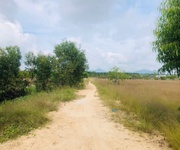 4 Bán 1000m2 đất gần biển tân bình, lagi có 400m2 thổ cư giá rẻ 4 Bán 1000m2 đất gần biển tân bình, lagi có 400m2 thổ cư giá rẻ